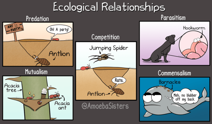 Ecological relationships pogil answers pdf