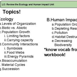 Ecological relationships pogil answers pdf