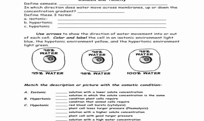 Osmosis and tonicity worksheet answers