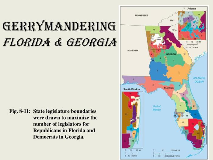 Voting district ap human geography