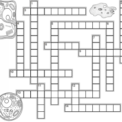 Cell structure and function crossword answer key