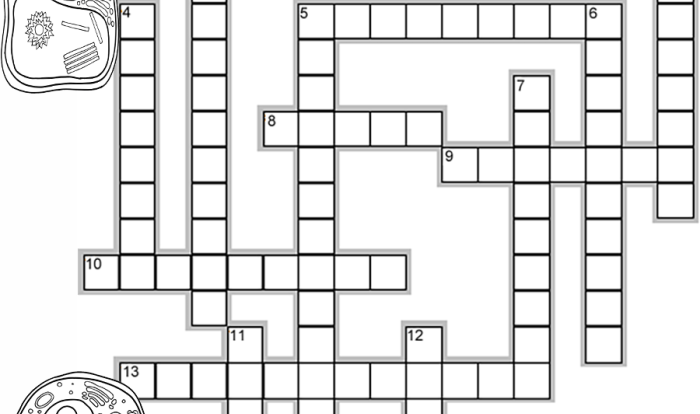 Cell structure and function crossword answer key