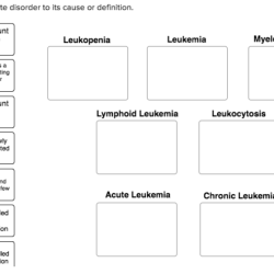 Match each leukocyte disorder to its cause or definition.